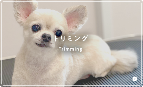 トリミング