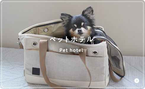 ペットホテル
