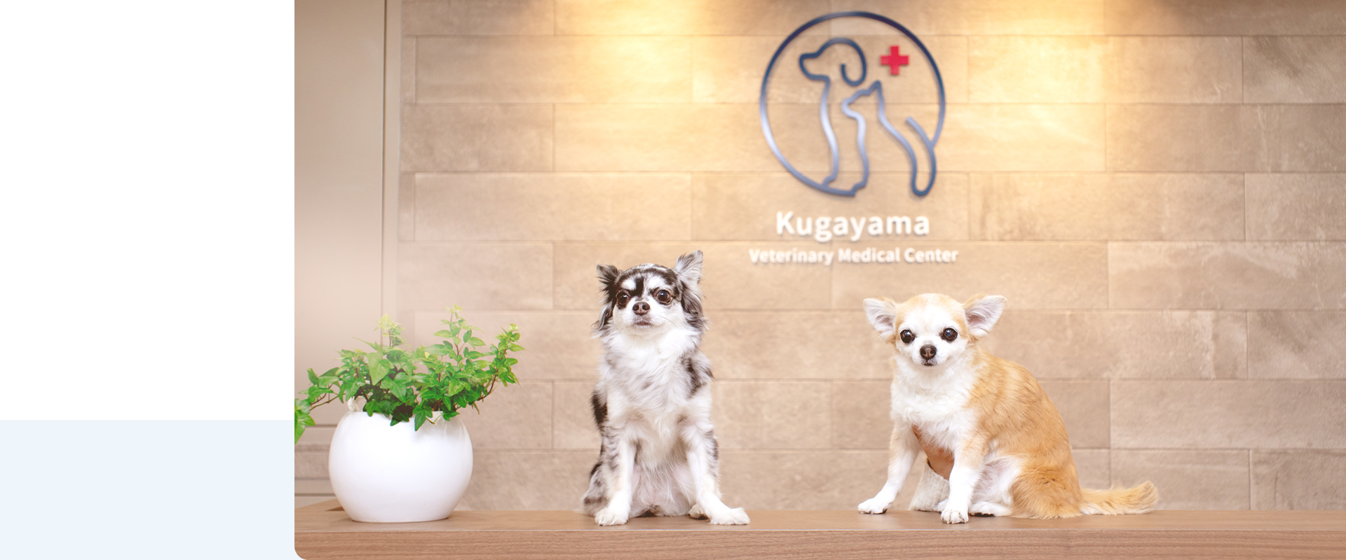 久我山動物医療センター