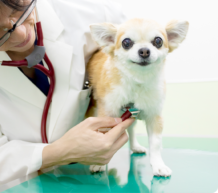 信頼の診療、安心の支え