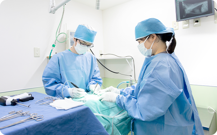 外科診療