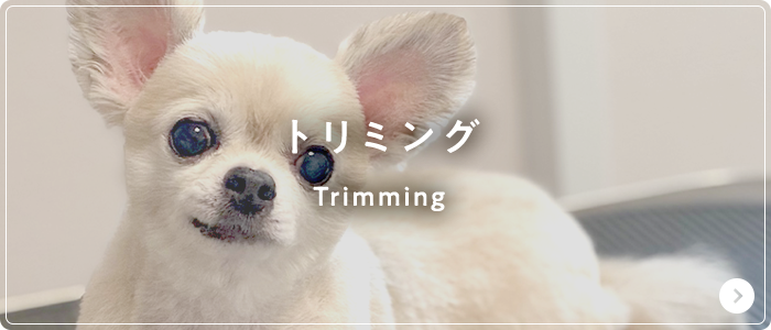 トリミング