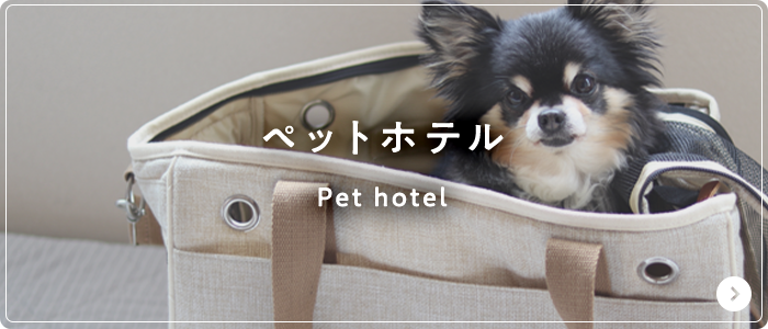 ペットホテル
